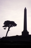 landmark;lone;memorial;pine;silhouette;sky;tree