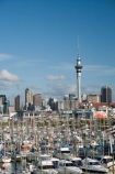 Auckland;Auckland-Marina;boat;boats;building;buildings;c.b.d.;cbd;central-business-district;cities;city;City-of-Sails;cityscape;cityscapes;harbor;harbors;harbour;harbours;high;high-rise;high-rises;high_rise;high_rises;highrise;highrises;hull;hulls;launch;launches;marina;marinas;mast;masts;moored;mooring;multi_storey;multi_storied;multistorey;multistoried;N.I.;N.Z.;New-Zealand;NI;North-Island;NZ;office;office-block;office-blocks;offices;port;ports;Queen-City;sail;sailing;sky-scraper;sky-scrapers;Sky-Tower;sky_scraper;sky_scrapers;Sky_tower;Skycity;skyscraper;skyscrapers;Skytower;tall;tower;tower-block;tower-blocks;towers;viewing-tower;viewing-towers;Waitemata-Harbor;Waitemata-Harbour;Westhaven-Marina;yacht;yachts