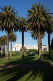 architecture;Auckland;Auckland-Domain;Auckland-Museum;Auckland-War-Memorial-Museum;building;buildings;heritage;historic;historic-building;historic-buildings;historical;historical-building;historical-buildings;history;museum;museums;N.I.;N.Z.;New-Zealand;NI;North-Island;NZ;old;palm;palm-tree;palm-trees;palms;tradition;traditional;tree;trees