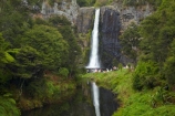 Auckland;cascade;cascades;fall;falls;Hunua-Falls;Hunua-Falls-Regional-Park;Hunua-Ranges;Hunua-Ranges-Regional-Park;N.Z.;natural;nature;New-Zealand;North-Is.;North-Island;Nth-Is;NZ;scene;scenic;water;water-fall;water-falls;waterfall;waterfalls;wet