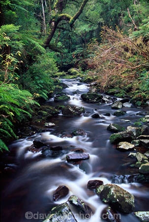 bush;Catlins;creek;long-exposure;long_exposure;McLean-Falls;n.z.;native-bush;New-Zealand;NZ;overgrown;river-bed;riverbed;rivers;South-Island;southland;Tautuku-River