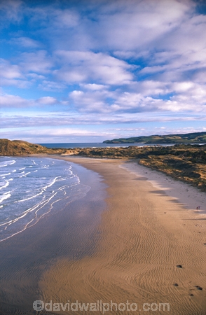 bays;beach;beaches;Cannibal-Bay;Catlins;coast;coastal;coastline;headland;n.z.;New-Zealand;nz;ocean;promontory;sand;sea;shore;shoreline;South-Island;Southern-Scenic-Route;Southland;wave;waves