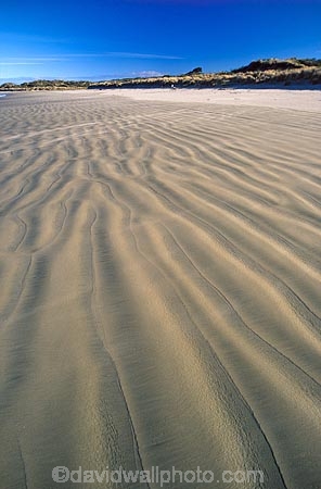 bays;beach;beaches;Cannibal-Bay;Catlins;coast;coastal;coastline;headland;n.z.;New-Zealand;nz;ocean;promontory;sand;sea;shore;shoreline;South-Island;Southern-Scenic-Route;wave;waves