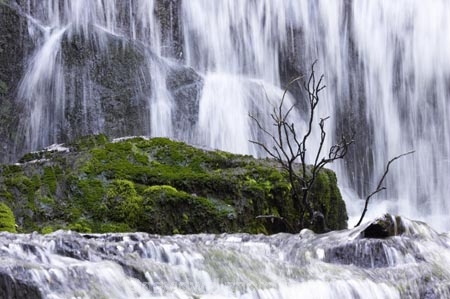 brook;brooks;cascade;cascades;Catlins;color;colors;colour;colours;creek;creeks;falls;green;moss;natural;nature;New-Zealand;Purakanui-Falls;Purakaunui-Falls;scene;scenic;South-Island;south-otago;Southern-Scenic-Route;southland;stream;streams;water;water-fall;water-falls;waterfall;waterfalls;wet