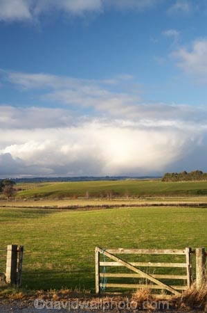 agricultural;agriculture;approaching-storm;approaching-storms;cloud;clouds;cloudy;Clutha-District;Clutha-Region;country;countryside;farm;farming;farmland;farms;field;fields;gate;gates;gateway;gateways;Kaihiku;meadow;meadows;N.Z.;New-Zealand;NZ;paddock;paddocks;pasture;pastures;rain-cloud;rain-clouds;rain-storm;rain-storms;rural;S.I.;SI;South-is;South-Island;South-Otago;storm;storm-cloud;storm-clouds;storms;weather