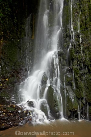cascade;cascades;Catlins;Catlins-District;Catlins-Region;creek;creeks;falls;Matai-Falls;N.Z.;natural;nature;New-Zealand;NZ;Otago;S.I.;scene;scenic;SI;South-Is;South-Island;South-Otago;Sth-Is;Sth-Otago;stream;streams;water;water-fall;water-falls;waterfall;waterfalls;wet