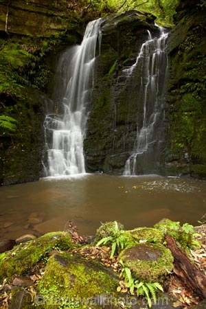 cascade;cascades;Catlins;Catlins-District;Catlins-Region;creek;creeks;falls;green;Horseshoe-Falls;Matai-Falls;moss;N.Z.;natural;nature;New-Zealand;NZ;Otago;S.I.;scene;scenic;SI;South-Is;South-Island;South-Otago;Sth-Is;Sth-Otago;stream;streams;water;water-fall;water-falls;waterfall;waterfalls;wet