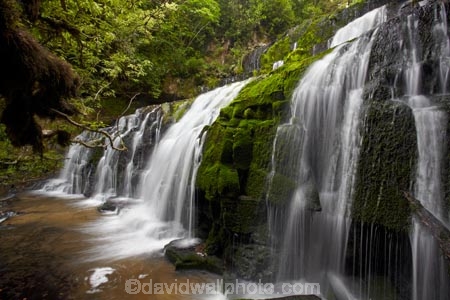 cascade;cascades;Catlins;Catlins-District;Catlins-Region;creek;creeks;falls;N.Z.;natural;nature;New-Zealand;NZ;Otago;Purakanui-Falls;Purakaunui-Falls;S.I.;scene;scenic;SI;South-Is;South-Island;South-Otago;Sth-Is;Sth-Otago;stream;streams;water;water-fall;water-falls;waterfall;waterfalls;wet