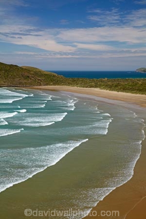 beach;beaches;Cannibal-Bay;Catlins-District;coast;coastal;coastline;coastlines;coasts;N.Z.;New-Zealand;NZ;ocean;oceans;Otago;S.I.;sand;sandy;sea;seas;shore;shoreline;shorelines;shores;SI;South-Is;South-Is.;South-Island;South-Otago;Sth-Is;surf;water;wave;waves