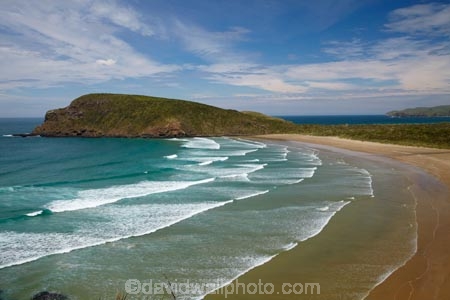 beach;beaches;Cannibal-Bay;Catlins-District;coast;coastal;coastline;coastlines;coasts;N.Z.;New-Zealand;NZ;ocean;oceans;Otago;S.I.;sand;sandy;sea;seas;shore;shoreline;shorelines;shores;SI;South-Is;South-Is.;South-Island;South-Otago;Sth-Is;surf;water;wave;waves