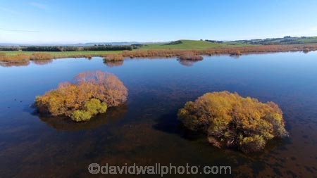 aerial;Aerial-drone;Aerial-drones;aerial-image;aerial-images;aerial-photo;aerial-photograph;aerial-photographs;aerial-photography;aerial-photos;aerial-view;aerial-views;aerials;autuminal;autumn;autumn-colour;autumn-colours;autumnal;Balclutha;Clutha-District;color;colors;colour;colours;deciduous;Drone;Drones;Dunedin;fall;gold;golden;lake;Lake-Tuakitoto;Lake-Tuakitoto-Wetland;lakes;N.Z.;New-Zealand;NZ;Otago;Quadcopter;Quadcopters;remote-piloted-aircraft-systems;remotely-operated-aircraft;remotely-piloted-aircraft;remotely-piloted-aircrafts;ROA;RPA;RPAS;S.I.;season;seasonal;seasons;SI;South-Is;South-Island;South-Otago;Sth-Is;tree;trees;U.A.V.;UA;UAS;UAV;UAVs;Unmanned-aerial-vehicle;unmanned-aircraft;unpiloted-aerial-vehicle;unpiloted-aerial-vehicles;unpiloted-air-system;wetland;wetlands;willow;willow-tree;willow-trees;willows;yellow