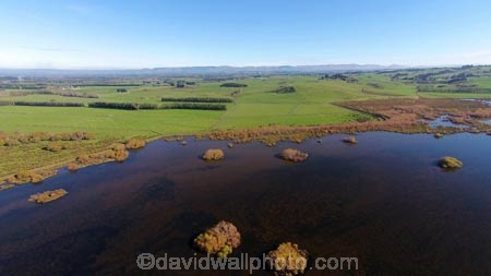 aerial;Aerial-drone;Aerial-drones;aerial-image;aerial-images;aerial-photo;aerial-photograph;aerial-photographs;aerial-photography;aerial-photos;aerial-view;aerial-views;aerials;autuminal;autumn;autumn-colour;autumn-colours;autumnal;Balclutha;Clutha-District;color;colors;colour;colours;deciduous;Drone;Drones;Dunedin;fall;gold;golden;lake;Lake-Tuakitoto;Lake-Tuakitoto-Wetland;lakes;N.Z.;New-Zealand;NZ;Otago;Quadcopter;Quadcopters;remote-piloted-aircraft-systems;remotely-operated-aircraft;remotely-piloted-aircraft;remotely-piloted-aircrafts;ROA;RPA;RPAS;S.I.;season;seasonal;seasons;SI;South-Is;South-Island;South-Otago;Sth-Is;tree;trees;U.A.V.;UA;UAS;UAV;UAVs;Unmanned-aerial-vehicle;unmanned-aircraft;unpiloted-aerial-vehicle;unpiloted-aerial-vehicles;unpiloted-air-system;wetland;wetlands;willow;willow-tree;willow-trees;willows;yellow