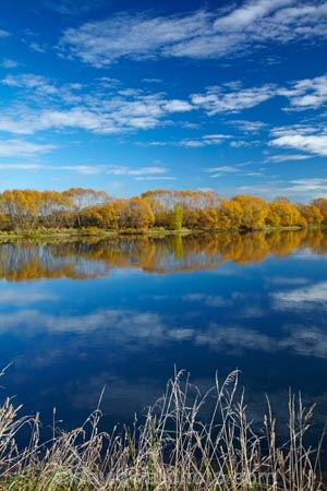 autuminal;autumn;Autumn-colour;autumn-colours;autumnal;Balclutha;blue;calm;Clutha-District;Clutha-River;Clutha-River-north-branch;color;colors;colour;colours;deciduous;fall;gold;golden;Inch-Clutha;Kaitangata;leaf;leaves;Mata_Au;Matau;N.Z.;New-Zealand;Northern-Branch-Clutha-River;NZ;Otago;placid;quiet;reflected;reflection;reflections;river;rivers;S.I.;season;seasonal;seasons;serene;SI;smooth;South-Is;South-Island;South-Otago;Sth-Is;still;tranquil;tree;trees;water;willow;willow-tree;willows;yellow