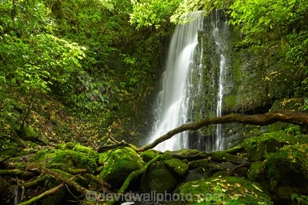 cascade;cascades;Catlins;Catlins-District;Catlins-Region;creek;creeks;falls;Matai-Falls;N.Z.;natural;nature;New-Zealand;NZ;Otago;S.I.;scene;scenic;SI;South-Is;South-Island;South-Otago;Sth-Is;Sth-Otago;stream;streams;water;water-fall;water-falls;waterfall;waterfalls;wet