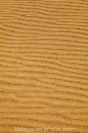 Background;Backgrounds;Barren;beach;beaches;Cannibal-Bay;Catlins;N.Z.;Natural-background;Natural-backgrounds;Nature;New-Zealand;NZ;Outdoor;Outdoors;Outside;pattern;patterns;Ripple;Ripples;Sand;Sand-ripples;sandy;SI;South-Island;Surface;Surfaces;Texture;Textures;Wave;Waves