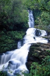 brook;brooks;Catlins;color;colors;colour;colours;creek;creeks;green;McLean-Falls;moss;n.z.;natural;nature;New-Zealand;nz;scene;scenic;South-Island;Southland;stream;streams;water;water-fall;water-falls;waterfall;waterfalls;wet