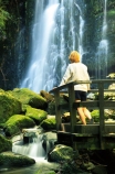moss;wet;water;waterfall;waterfalls;water-fall;water-falls;stream;streams;brook;brooks;creek;creeks;nature;natural;scene;scenic;green;color;colors;colours;colour;cascade;cascades;Southern-Scenic-Route;person;tourist;tourism;alone;viewing-platform