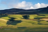 agricultural;agriculture;Balclutha;Clutha-District;Clutha-Region;country;countryside;farm;farming;farmland;farms;field;fields;grass;grassy;green;lte-light;meadow;meadows;N.Z.;New-Zealand;NZ;paddock;paddocks;pasture;pastures;rolling;rolling-farmland;rolling-hills;rural;S.I.;SI;South-is;South-Island;South-Otago;Waitepeka