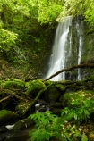 cascade;cascades;Catlins;Catlins-District;Catlins-Region;creek;creeks;falls;Matai-Falls;N.Z.;natural;nature;New-Zealand;NZ;Otago;S.I.;scene;scenic;SI;South-Is;South-Island;South-Otago;Sth-Is;Sth-Otago;stream;streams;water;water-fall;water-falls;waterfall;waterfalls;wet