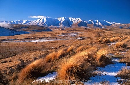 cold;country;countryside;freeze;freezing;grassland;grasslands;high;highcountry;mountain;mountains;snow;tussock;tussocks;winter