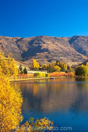 colour;colours;color;colors;yellow;autumn;gold;golden;fall;poplar;poplars;willow;willows;lakes;bank;edge;tranquil;calm;blue;sky