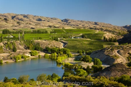agricultural;agriculture;Bannockburn;Bannockburn-Inlet;Central-Otago;central-otago-vineyard;central-otago-vineyards;central-otago-wineries;central-otago-winery;country;countryside;crop;crops;cultivation;farm;farming;farmland;farms;field;fields;grapevine;grapevines;horticulture;lake;Lake-Dunstan;lakes;N.Z.;New-Zealand;NZ;row;rows;rural;S.I.;SI;South-Is.;south-island;vine;vines;vineyard;vineyards;vintage;wineage;wineries;winery;wines
