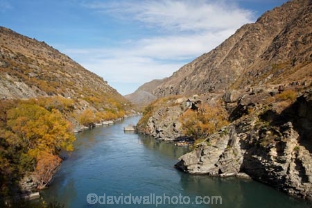 autuminal;autumn;autumn-colour;autumn-colours;autumnal;Central-Otago;color;colors;colour;colours;deciduous;fall;Goldfields;Goldfields-Mining-Centre;Goldfields-tourist-attraction;Kawarau-Gorge;Kawarau-River;leaf;leaves;N.Z.;New-Zealand;NZ;Otago;S.I.;season;seasonal;seasons;SI;South-Is;South-Island;tree;trees