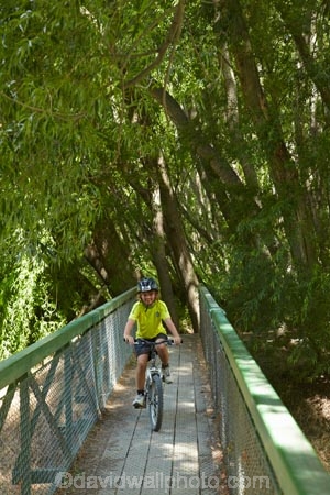 150th-Anniversary-track;Alexandra-_-Clyde-track;Alexandra-to-Clyde-track;bicycle;bicycles;bike;bikes;boy;boys;bridges;brige;Central-Otago;child;children;Clutha-River-Track;Clyde-_-Alexandra-track;cycle;cycle-track;cycle-tracks;cycler;cyclers;cycles;cycleway;cycleways;cyclist;cyclists;mountain-bike;mountain-biker;mountain-bikers;mountain-bikes;mtn-bike;mtn-biker;mtn-bikers;mtn-bikes;N.Z.;New-Zealand;NZ;Otago;people;person;push-bike;push-bikes;push_bike;push_bikes;pushbike;pushbikes;recreation;S.I.;SI;South-Is;South-Island;Sth-Is;willow;willow-tree;willow-trees;willows