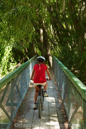 150th-Anniversary-track;Alexandra-_-Clyde-track;Alexandra-to-Clyde-track;bicycle;bicycles;bike;bikes;bridges;brige;Central-Otago;child;children;Clutha-River-Track;Clyde-_-Alexandra-track;cycle;cycle-track;cycle-tracks;cycler;cyclers;cycles;cycleway;cycleways;cyclist;cyclists;girl;girls;mountain-bike;mountain-biker;mountain-bikers;mountain-bikes;mtn-bike;mtn-biker;mtn-bikers;mtn-bikes;N.Z.;New-Zealand;NZ;Otago;people;person;push-bike;push-bikes;push_bike;push_bikes;pushbike;pushbikes;recreation;S.I.;SI;South-Is;South-Island;Sth-Is;willow;willow-tree;willow-trees;willows