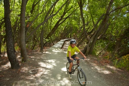 150th-Anniversary-track;Alexandra-_-Clyde-track;Alexandra-to-Clyde-track;bicycle;bicycles;bike;bikes;boy;boys;Central-Otago;child;children;Clutha-River-Track;Clyde-_-Alexandra-track;cycle;cycle-track;cycle-tracks;cycler;cyclers;cycles;cycleway;cycleways;cyclist;cyclists;mountain-bike;mountain-biker;mountain-bikers;mountain-bikes;mtn-bike;mtn-biker;mtn-bikers;mtn-bikes;N.Z.;New-Zealand;NZ;Otago;people;person;push-bike;push-bikes;push_bike;push_bikes;pushbike;pushbikes;recreation;S.I.;SI;South-Is;South-Island;Sth-Is;willow;willow-tree;willow-trees;willows