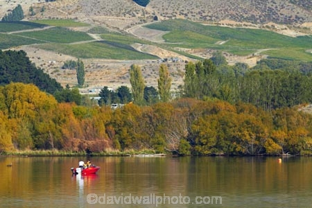 autuminal;autumn;autumn-colour;autumn-colours;autumnal;boat;boats;calm;Central-Otago;color;colors;colour;colours;deciduous;fall;fishing;gold;golden;lake;Lake-Dunstan;lakes;leaf;leaves;mountain;mountain-range;mountains;N.Z.;New-Zealand;NZ;Otago;placid;pleasure-boat;pleasure-boats;power-boat;power-boats;quiet;range;ranges;red-boat;reflected;reflection;reflections;S.I.;season;seasonal;seasons;serene;SI;smooth;South-Is;South-Is.;South-Island;Sth-Is;still;tranquil;tree;trees;water;yellow