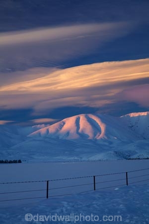 agricultural;agriculture;alpenglo;alpenglow;alpine;alpinglo;alpinglow;Altocumulus-lenticularis;Central-Otago;cloud;clouds;cold;Coldness;color;colors;colour;colours;country;countryside;Daytime;Exterior;extreme-weather;farm;farming;farmland;farms;fence;fence-line;fence-lines;fence_line;fence_lines;fenceline;fencelines;fences;field;fields;freeze;freezing;Hawkdun-Ra;Hawkdun-Range;high-country;hill;hills;Ida-Ra;Ida-Range;Ida-Valley;Idaburn;Landscape;Landscapes;lens_shaped-cloud;lens_shaped-clouds;lenticular-cloud;lenticular-clouds;Maniototo;meadow;meadows;Mount-Ida;mountain;mountainous;mountains;mt;Mt-Ida;Mt.-Ida;N.Z.;natural;Nature;New-Zealand;NZ;Otago;Oturehua;Outdoor;Outdoors;Outside;paddock;paddocks;pasture;pastures;rural;S.I.;Scenic;Scenics;Season;Seasons;SI;snow;snowfall;snowy;snowy-hills;snowy-mountains;South-Is;South-Is.;South-Island;Sth-Is;weather;White;winter;Wintertime;wintery;wintry