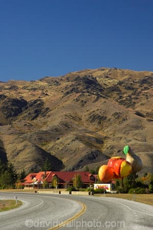 apple;apples;bend;bends;big;big-fruit;Central-Otago;centre-line;centre-lines;centre_line;centre_lines;centreline;centrelines;color;colors;colour;colours;corner;corners;cromwell;driving;fibreglass;fruit;giant;gold;golden;green;highway;highways;icon;icons;landmark;nectarine;nectarines;new-zealand;open-road;open-roads;peach;peaches;pear;pears;red;road;road-trip;roads;south-island;stone-fruit;stonefruit;straight;symbol;tourism;transport;transportation;travel;traveling;travelling;trip;yellow