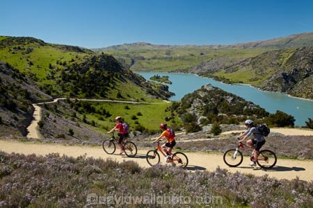 bicycle;bicycles;bike;bike-track;bike-tracks;bike-trail;bike-trails;bikes;Central-Otago;child;children;cycle;cycle-track;cycle-tracks;cycle-trail;cycle-trails;cycler;cyclers;cycles;cyclist;cyclists;families;family;hairpin-bend;hairpin-bends;hairpin-corner;hairpin-corners;lake;Lake-Roxburgh;lakes;mountain-bike;mountain-biker;mountain-bikers;mountain-bikes;mtn-bike;mtn-biker;mtn-bikers;mtn-bikes;N.Z.;New-Zealand;NZ;Otago;people;person;push-bike;push-bikes;push_bike;push_bikes;pushbike;pushbikes;Roxburgh;Roxburgh-Cycle-Track;Roxburgh-Cycle-Trail;Roxburgh-Gorge;Roxburgh-Gorge-Cycle-and-Walking-Trail;Roxburgh-Gorge-Cycle-Track;Roxburgh-Gorge-Cycle-Trail;Roxburgh-Gorge-Track;Roxburgh-Gorge-Trail;Roxburgh-Gorge-Walking-and-Cycle-Trail;S.I.;season;seasonal;seasons;SI;South-Is;South-Island;spring;spring-time;steep;Sth-is;switchback;switchback-road;switchback-roads;switchbacks;thyme;thyme-in-flower;tourism;tourist;tourists;violet;wild-thyme;zig-zag;zig-zag-road;zig-zag-roads;zig-zags;zig_zag;zig_zag-road;zig_zag-roads;zig_zags;zigzag;zigzag-road;zigzag-roads;zigzags