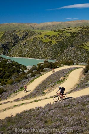 bicycle;bicycles;bike;bike-track;bike-tracks;bike-trail;bike-trails;bikes;Central-Otago;cycle;cycle-track;cycle-tracks;cycle-trail;cycle-trails;cycler;cyclers;cycles;cyclist;cyclists;hairpin-bend;hairpin-bends;hairpin-corner;hairpin-corners;lake;Lake-Roxburgh;lakes;mountain-bike;mountain-biker;mountain-bikers;mountain-bikes;mtn-bike;mtn-biker;mtn-bikers;mtn-bikes;N.Z.;New-Zealand;NZ;Otago;people;person;push-bike;push-bikes;push_bike;push_bikes;pushbike;pushbikes;Roxburgh;Roxburgh-Cycle-Track;Roxburgh-Cycle-Trail;Roxburgh-Gorge;Roxburgh-Gorge-Cycle-and-Walking-Trail;Roxburgh-Gorge-Cycle-Track;Roxburgh-Gorge-Cycle-Trail;Roxburgh-Gorge-Track;Roxburgh-Gorge-Trail;Roxburgh-Gorge-Walking-and-Cycle-Trail;S.I.;season;seasonal;seasons;SI;South-Is;South-Island;spring;spring-time;steep;Sth-is;switchback;switchback-road;switchback-roads;switchbacks;thyme;thyme-in-flower;tourism;tourist;tourists;violet;wild-thyme;zig-zag;zig-zag-road;zig-zag-roads;zig-zags;zig_zag;zig_zag-road;zig_zag-roads;zig_zags;zigzag;zigzag-road;zigzag-roads;zigzags