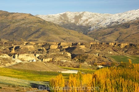 agricultural;agriculture;autuminal;autumn;autumnal;bannockburn;bannockburn-sluicings;central-otago;central-otago-vineyard;central-otago-vineyards;central-otago-wineries;central-otago-winery;color;colors;colour;colours;country;countryside;crop;crops;cultivation;deciduous;erosion;fall;farm;farming;farmland;farms;field;fields;gold-rush;gold-workings;grape;grapes;grapevine;horticulture;leaf;leaves;Mount-Difficulty;Mount-Difficulty-Vineyard;Mount-Difficulty-Winery;Mt-Difficulty;Mt-Difficulty-Vineyard;Mt-Difficulty-Winery;Mt.-Difficulty;Mt.-Difficulty-Vineyard;Mt.-Difficulty-Winery;new-zealand;poplar;poplar-tree;poplar-trees;poplars;row;rows;rural;sluicing;sluicings;south-island;tailing;tailings;tree;trees;vine;vines;vineyard;vineyards;vintage;wine;wineries;winery;wines