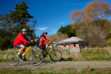 abandon;abandoned;autuminal;autumn;autumn-colour;autumn-colours;autumnal;bicycle;bicycles;bike;bike-track;bike-tracks;bike-trail;bike-trails;bikes;building;buildings;Central-Otago;character;Clutha-Gold-Bike-Trail;Clutha-Gold-Cycle-Trail;Clutha-Gold-Track;Clutha-Gold-Trail;color;colors;colour;colours;cycle;cycle-track;cycle-tracks;cycle-trail;cycle-trails;cycler;cyclers;cycles;cycleway;cycleways;cyclist;cyclists;deciduous;derelict;derelict-building;dereliction;deserted;desolate;desolation;destruction;excercise;excercising;fall;farm-house;farmhouse;gold;golden;heritage;historic;historic-building;historic-buildings;Historic-Ruins;historical;historical-building;historical-buildings;history;Lawrence;leaf;leaves;model-released;mountain-bike;mountain-biker;mountain-bikers;mountain-bikes;MR;mtn-bike;mtn-biker;mtn-bikers;mtn-bikes;N.Z.;neglect;neglected;New-Zealand;NZ;old;old-fashioned;old_fashioned;Otago;people;person;push-bike;push-bikes;push_bike;push_bikes;pushbike;pushbikes;ruin;ruins;run-down;rustic;S.I.;season;seasonal;seasons;SI;South-Is;South-Island;Sth-Is;tradition;traditional;tree;trees;vintage;yellow