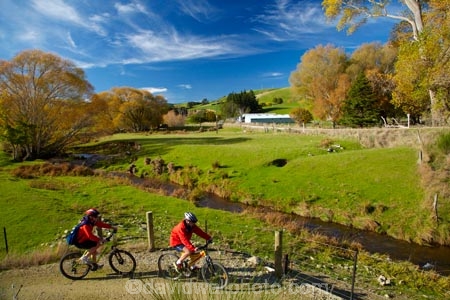 agricultural;agriculture;autuminal;autumn;autumn-colour;autumn-colours;autumnal;bicycle;bicycles;bike;bike-track;bike-tracks;bike-trail;bike-trails;bikes;Central-Otago;Clutha-Gold-Bike-Trail;Clutha-Gold-Cycle-Trail;Clutha-Gold-Track;Clutha-Gold-Trail;color;colors;colour;colours;country;countryside;cycle;cycle-track;cycle-tracks;cycle-trail;cycle-trails;cycler;cyclers;cycles;cycleway;cycleways;cyclist;cyclists;deciduous;Evans-Flat;excercise;excercising;fall;farm;farming;farmland;farms;field;fields;gold;golden;Lawrence;leaf;leaves;meadow;meadows;model-released;mountain-bike;mountain-biker;mountain-bikers;mountain-bikes;MR;mtn-bike;mtn-biker;mtn-bikers;mtn-bikes;N.Z.;New-Zealand;NZ;Otago;paddock;paddocks;pasture;pastures;people;person;push-bike;push-bikes;push_bike;push_bikes;pushbike;pushbikes;rural;S.I.;season;seasonal;seasons;SI;South-Is;South-Island;Sth-Is;tree;trees;willow-tree;willow-trees;yellow