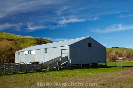 agricultural;agriculture;autuminal;autumn;autumn-colour;autumn-colours;autumnal;Central-Otago;color;colors;colour;colours;corrugated-iron;corrugated-steel;country;countryside;deciduous;fall;farm;Farm-Building;Farm-Buildings;Farm-Shed;Farm-Sheds;farming;farmland;farms;field;fields;gold;golden;Lawrence;meadow;meadows;N.Z.;New-Zealand;NZ;Otago;paddock;paddocks;pasture;pastures;rural;S.I.;season;seasonal;seasons;Shearing-Shed;Shearing-Sheds;Sheep-Shed;Sheep-Sheds;SI;South-Is;South-Island;Sth-Is;tree;trees;Wool-Shed;Wool-Sheds;woolshed;woolsheds;yellow