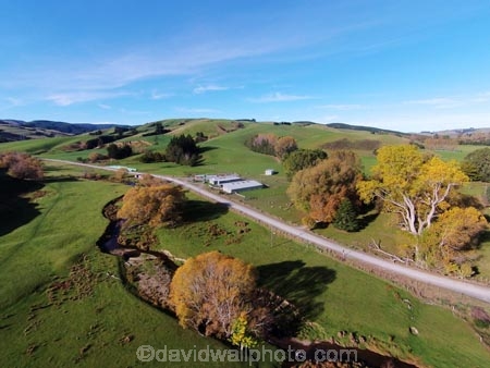 aerial;Aerial-drone;Aerial-drones;aerial-image;aerial-images;aerial-photo;aerial-photograph;aerial-photographs;aerial-photography;aerial-photos;aerial-view;aerial-views;aerials;autuminal;autumn;autumn-colour;autumn-colours;autumnal;Central-Otago;color;colors;colour;colours;country;countryside;deciduous;Drone;Drones;emotely-operated-aircraft;Evans-Flat;fall;farm;Farm-Building;Farm-Buildings;Farm-Shed;Farm-Sheds;farming;farms;gold;golden;Lawrence;Munro-Rd;Munro-Road;N.Z.;New-Zealand;NZ;Otago;Quadcopter;Quadcopters;remote-piloted-aircraft-systems;remotely-piloted-aircraft;remotely-piloted-aircrafts;ROA;road;roads;RPA;RPAS;rural;S.I.;season;seasonal;seasons;Shearing-Shed;Shearing-Sheds;Sheep-Shed;Sheep-Sheds;SI;South-Is;South-Island;Sth-Is;tree;trees;U.A.V.;UA;UAS;UAV;UAVs;Unmanned-aerial-vehicle;unmanned-aircraft;unpiloted-aerial-vehicle;unpiloted-aerial-vehicles;unpiloted-air-system;Wool-Shed;Wool-Sheds;woolshed;woolsheds;yellow