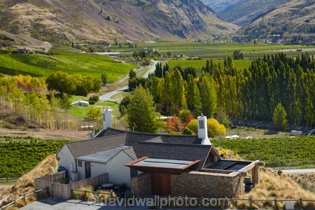 agricultural;agriculture;autuminal;autumn;autumn-colour;autumn-colours;autumnal;Bannockburn;bar;bars;cafe;cafes;Central-Otago;Central-Otago-Vineyard;central-otago-vineyards;central-otago-wineries;central-otago-winery;color;colors;colour;colours;country;countryside;crop;crops;cuisine;cultivation;deciduous;dine;dining;fall;farm;farming;farmland;farms;field;fields;food;gold;golden;grape;grapes;grapevine;horticulture;leaf;leaves;Mt-Difficulty;Mt-Difficulty-Vineyard;Mt-Difficulty-Winery;Mt-Difficulty-Wines;N.Z.;New-Zealand;NZ;Otago;poplar;poplar-tree;poplar-trees;poplars;restaurant;restaurants;row;rows;rural;S.I.;season;seasonal;seasons;SI;South-Is;South-Island;Sth-Is;tree;trees;vine;vines;vineyard;vineyards;vintage;wine;wineage;wineries;winery;wines;yellow