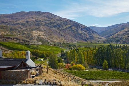 agricultural;agriculture;autuminal;autumn;autumn-colour;autumn-colours;autumnal;Bannockburn;bar;bars;cafe;cafes;Central-Otago;Central-Otago-Vineyard;central-otago-vineyards;central-otago-wineries;central-otago-winery;color;colors;colour;colours;country;countryside;crop;crops;cuisine;cultivation;deciduous;dine;dining;fall;farm;farming;farmland;farms;field;fields;food;gold;golden;grape;grapes;grapevine;horticulture;leaf;leaves;Mt-Difficulty;Mt-Difficulty-Vineyard;Mt-Difficulty-Winery;Mt-Difficulty-Wines;N.Z.;New-Zealand;NZ;Otago;poplar;poplar-tree;poplar-trees;poplars;restaurant;restaurants;row;rows;rural;S.I.;season;seasonal;seasons;SI;South-Is;South-Island;Sth-Is;tree;trees;vine;vines;vineyard;vineyards;vintage;wine;wineage;wineries;winery;wines;yellow