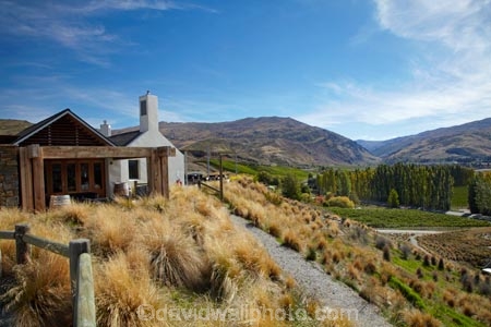 agricultural;agriculture;autuminal;autumn;autumn-colour;autumn-colours;autumnal;Bannockburn;bar;bars;cafe;cafes;Central-Otago;Central-Otago-Vineyard;central-otago-vineyards;central-otago-wineries;central-otago-winery;color;colors;colour;colours;country;countryside;crop;crops;cuisine;cultivation;deciduous;dine;dining;fall;farm;farming;farmland;farms;field;fields;food;gold;golden;grape;grapes;grapevine;horticulture;leaf;leaves;Mt-Difficulty;Mt-Difficulty-Vineyard;Mt-Difficulty-Winery;Mt-Difficulty-Wines;N.Z.;New-Zealand;NZ;Otago;poplar;poplar-tree;poplar-trees;poplars;restaurant;restaurants;row;rows;rural;S.I.;season;seasonal;seasons;SI;South-Is;South-Island;Sth-Is;tree;trees;vine;vines;vineyard;vineyards;vintage;wine;wineage;wineries;winery;wines;yellow