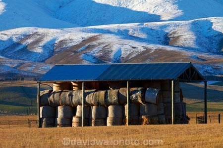 agricultural;agriculture;barn;barns;Central-Otago;cold;Coldness;corrugated-iron;corrugated-metal;corrugated-steel;country;countryside;extreme-weather;farm;farm-building;farm-buildings;Farm-Shed;Farm-Sheds;farming;farmland;farms;field;fields;freeze;freezing;Hawkdun-Ra;Hawkdun-Range;hay;hay-bale;hay-bales;hay-barn;hay-barns;hay-shed;hay-sheds;haybarn;haybarns;hayshed;haysheds;Ida-Valley;Maniototo;meadow;meadows;N.Z.;New-Zealand;NZ;Otago;Oturehua;paddock;paddocks;pasture;pastures;roofing-iron;roofing-metal;rural;S.I.;Scenic;Scenics;Season;Seasons;shed;sheds;SI;snow;snowy;South-Is;South-Island;Sth-Is;straw;weather;white;winter;winter-feed;Wintertime;wintery;wintry;zincalume