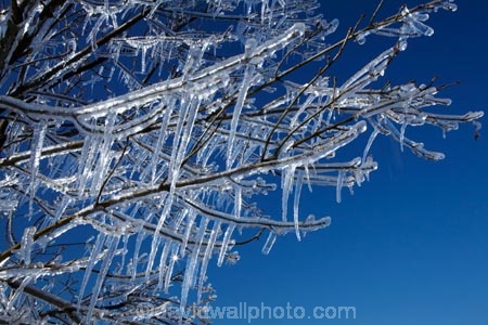 Alexandra;Central-Otago;crop;farm;farming;farms;frost-fighting;fruit-tree;fruit-trees;horticulture;ice;icicle;Icicles;icy;N.Z.;New-Zealand;NZ;orchard;orchard-tree;orchards;Otago;rural;S.I.;SI;South-Is;South-Island;spring;spring-time;spring_time;springtime;sprinklers;Sth-Is