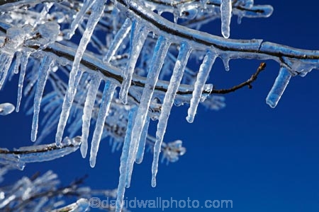 Alexandra;Central-Otago;crop;farm;farming;farms;frost-fighting;fruit-tree;fruit-trees;horticulture;ice;icicle;Icicles;icy;N.Z.;New-Zealand;NZ;orchard;orchard-tree;orchards;Otago;rural;S.I.;SI;South-Is;South-Island;spring;spring-time;spring_time;springtime;sprinklers;Sth-Is