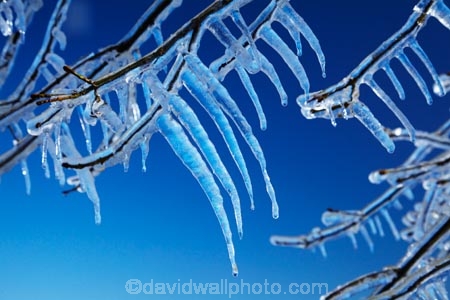 Alexandra;Central-Otago;crop;farm;farming;farms;frost-fighting;fruit-tree;fruit-trees;horticulture;ice;icicle;Icicles;icy;N.Z.;New-Zealand;NZ;orchard;orchard-tree;orchards;Otago;rural;S.I.;SI;South-Is;South-Island;spring;spring-time;spring_time;springtime;sprinklers;Sth-Is