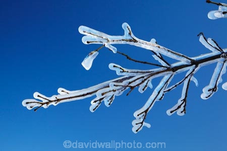 Alexandra;Central-Otago;crop;farm;farming;farms;frost-fighting;fruit-tree;fruit-trees;horticulture;ice;icicle;Icicles;icy;N.Z.;New-Zealand;NZ;orchard;orchard-tree;orchards;Otago;rural;S.I.;SI;South-Is;South-Island;spring;spring-time;spring_time;springtime;sprinklers;Sth-Is