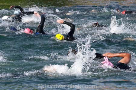 Central-Otago;Cromwell;freestyle;Lake-Dunstan;multi-sport;multi_sport;multisport;New-Zealand;race;racers;races;South-Island;splash;splashing;sport;sports;sportsman;sportsmen;sportswoman;sportswomen;swim;swimmer;Swimmers;Triathalon;triathalons;triathlon;triathlons