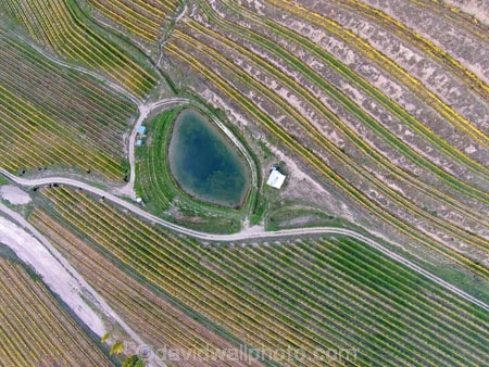 aerial;Aerial-drone;Aerial-drones;aerial-image;aerial-images;aerial-photo;aerial-photograph;aerial-photographs;aerial-photography;aerial-photos;aerial-view;aerial-views;aerials;agricultural;agriculture;autuminal;autumn;autumn-colour;autumn-colours;autumnal;Bannockburn;Central-Otago;Central-Otago-Vineyards;color;colors;colour;colours;country;countryside;crop;crops;cultivation;deciduous;Drone;Drones;emotely-operated-aircraft;fall;farm;farming;farmland;farms;Felton-Rd-Vineyard;Felton-Road-Vineyard;Felton-Road-Wines;field;fields;gold;golden;grape;grapes;grapevine;horticulture;leaf;leaves;N.Z.;New-Zealand;NZ;Otago;pond;ponds;Quadcopter;Quadcopters;remote-piloted-aircraft-systems;remotely-piloted-aircraft;remotely-piloted-aircrafts;ROA;row;rows;RPA;RPAS;rural;S.I.;season;seasonal;seasons;SI;South-Is;South-Island;Sth-Is;Sth-Is.;tree;trees;U.A.V.;UA;UAS;UAV;UAVs;Unmanned-aerial-vehicle;unmanned-aircraft;unpiloted-aerial-vehicle;unpiloted-aerial-vehicles;unpiloted-air-system;vine;vines;vineyard;vineyards;vintage;wine;wineries;winery;wines;yellow